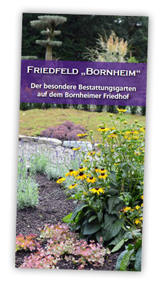 Flyer Friedfeld Bornheim